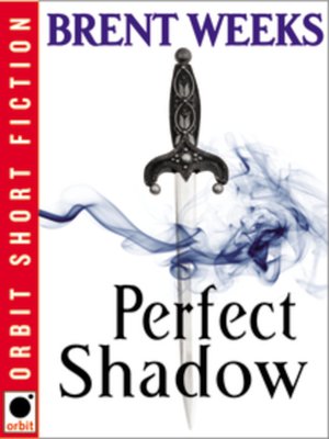 cover image of Perfect Shadow